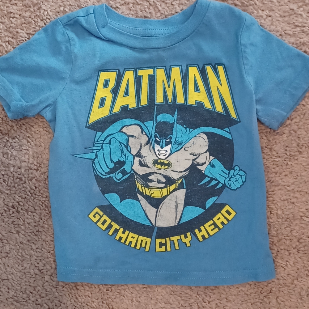 Boys 12 M Clothing Bundle